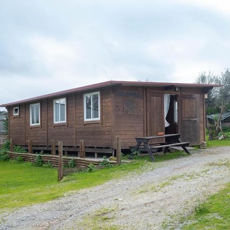 Hotel Burriscas Campismo Rural Montemor-o-Novo Exterior foto